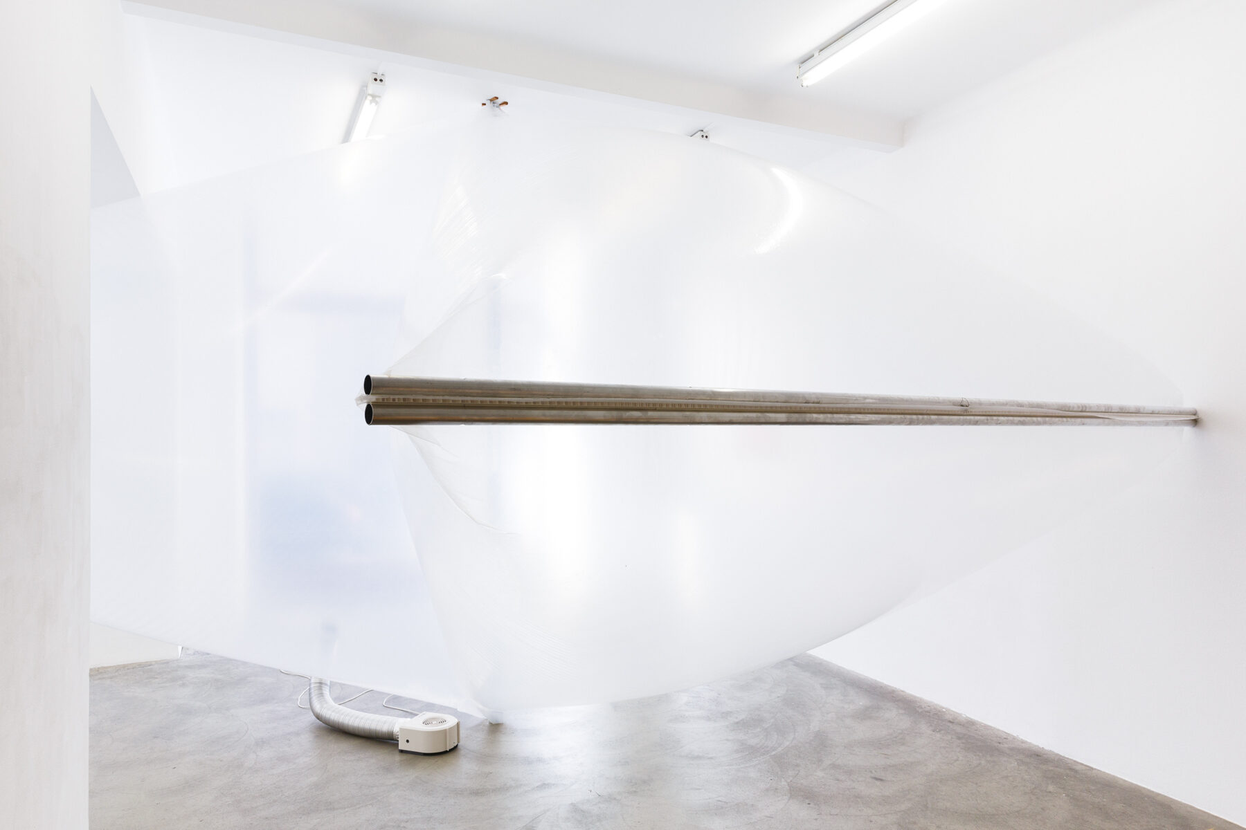 Sergio Prego, Asbestos Hall, 2017