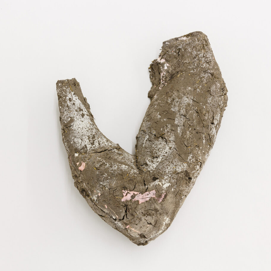 Tragic, comic and bold facts