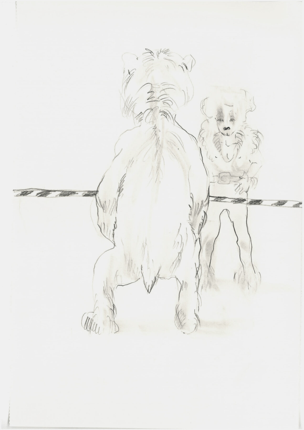 Maja Vukoje, Untitled, 2005