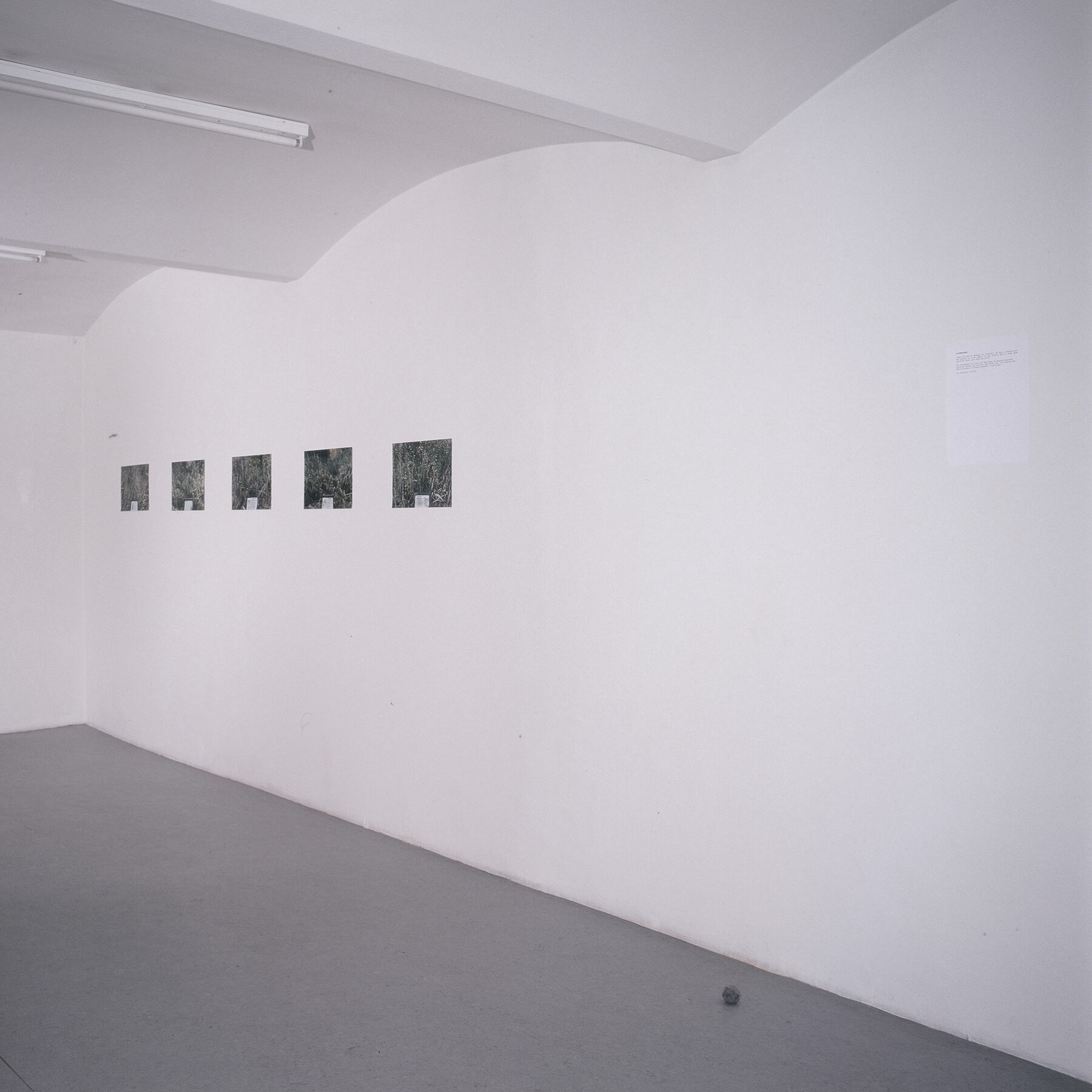 Exhibition view, Galerie Martin Janda, 2004