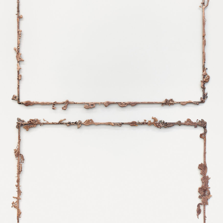 A Mouse Drowned in a Honey Pot